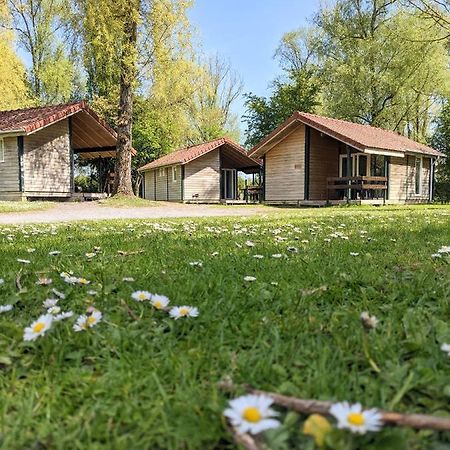 Camping Du Port De Plaisance Peronne  Bagian luar foto
